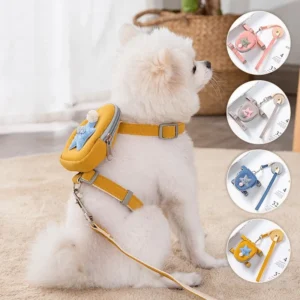 Simple Fashionable Cat & Dog Outdoor Play Harness with Small Backpack Pet Collars Leashes for Walks & Adventures