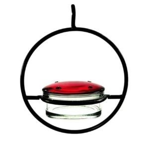 Simple Metal Hummingbird Feeder with Water Auto Features Rounded Bowl Hanging Pet Supplies for Birds