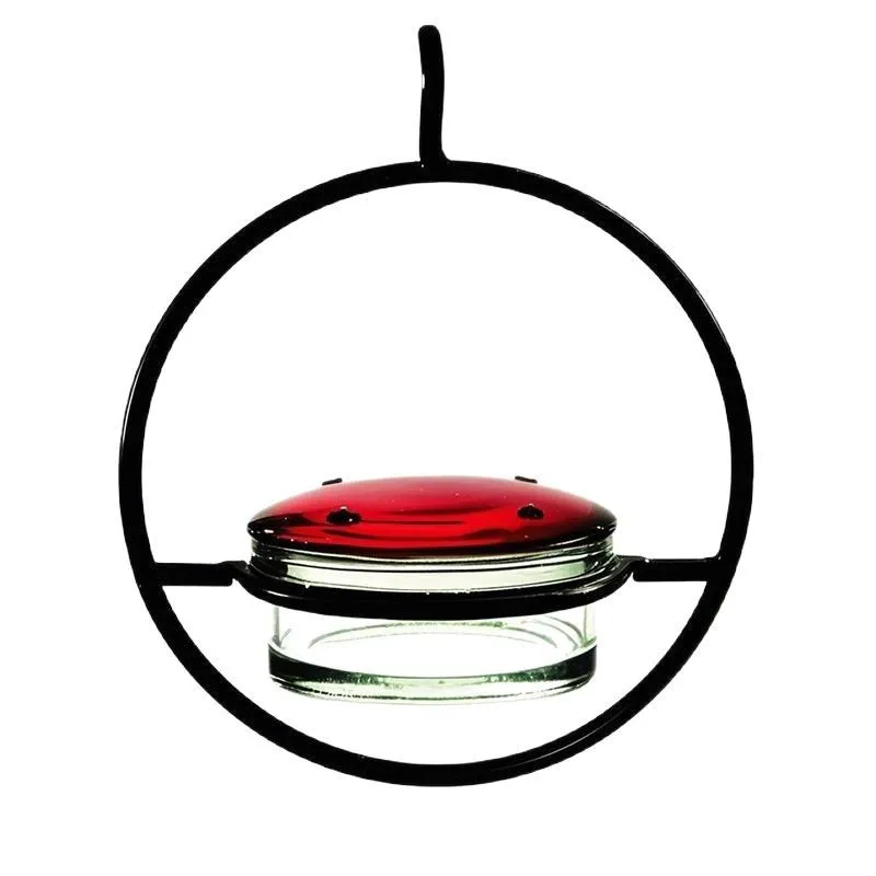 Simple Metal Hummingbird Feeder with Water Auto Features Rounded Bowl Hanging Pet Supplies for Birds