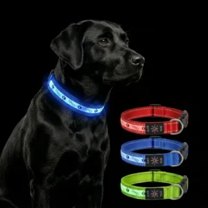 Small Animal Pets Reflective Lights Nylon Dog Collar with Print Pattern for Travel Use