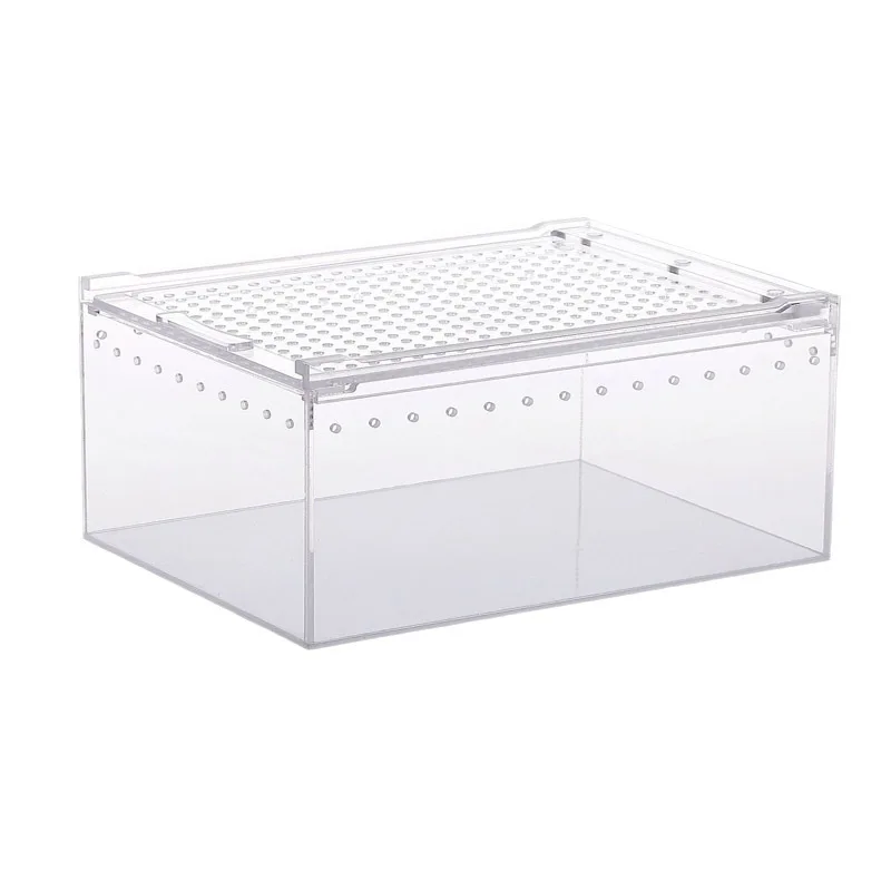 Small Animal Supplies Integrated Breeding Eco Friendly Acrylic Rectangle Reptile Box Anti Water Leakage Climbing Pet Snakes