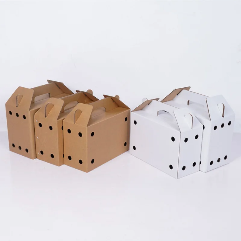 Small Animals Hamsters Gerbils Birds Pet Reptiles Drink Carrier Cardboard Box