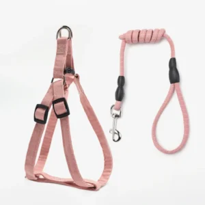 Small Dog Flower Universal Harness Lead Training Puppy Vest Pet Cat Harness and Leash