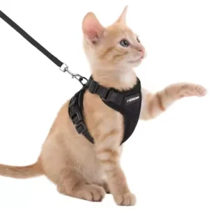 Small Dog Harness Cat Traction Rope Reflective Anti Escape Breathable Cat Leash Padded Polyester Pet Supplies for Cat Dog Solid