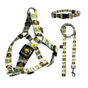 Small Dog Pet Harness and Leash Set Puppy Cat Vest Harness Collar