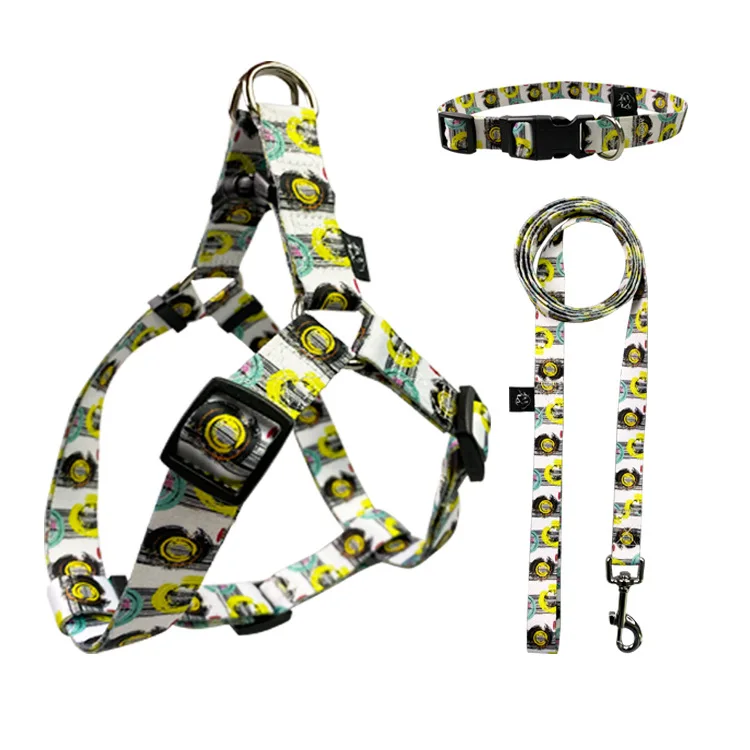 Small Dog Pet Harness and Leash Set Puppy Cat Vest Harness Collar