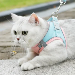 Small Dog Vest Style Fabric Pet Harness Breathable Reflective Leash for Walking