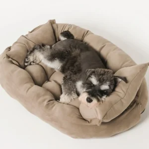 Small Eco Friendly Multifunctional Folding Dog Bed Sofa Orthopedic Pet Mat Memory Foam Solid Animal Pattern Quality Pet Beds