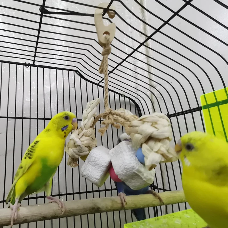 Small Five Pointed Star Shaped Pet Chewing Toy Simple Sport Style Corn Leaf Woven for Parrots Other Small Animals