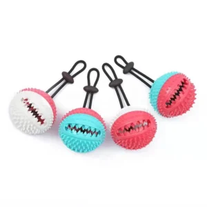 Small Interactive Training Pet Toys for Dog Chewing Cats Product Made of Durable Rubber TPR Material
