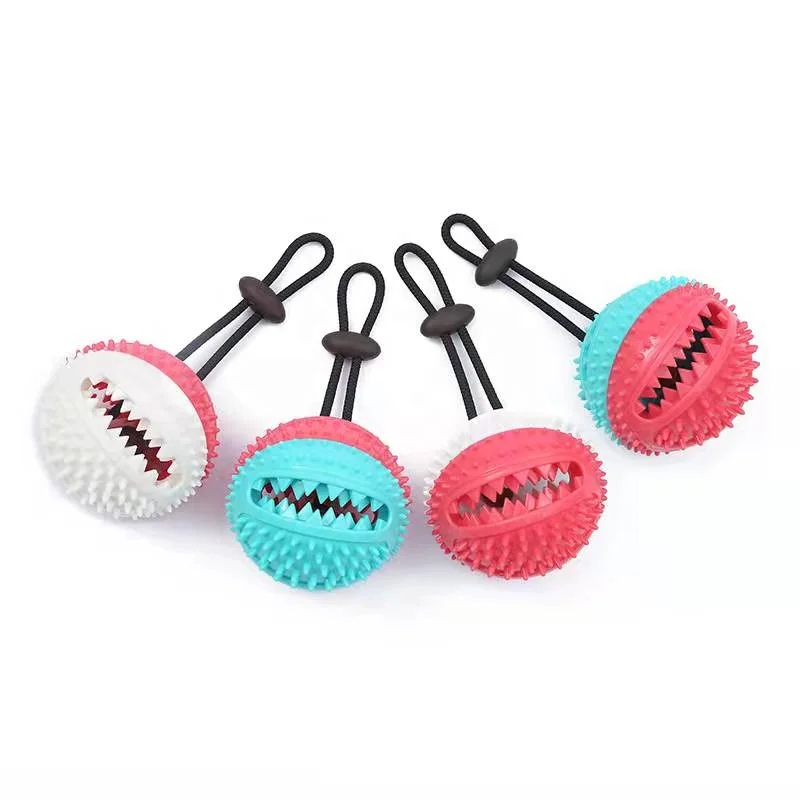 Small Interactive Training Pet Toys for Dog Chewing Cats Product Made of Durable Rubber TPR Material