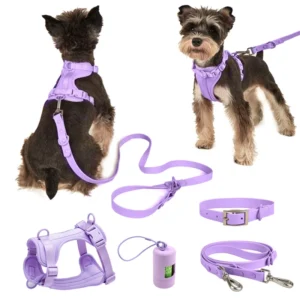 Small & Large Dog Harness & Collar Set Breathable Cloth PVC Sport Luxury Fashion Dog Leash Set Durable & Adjustable