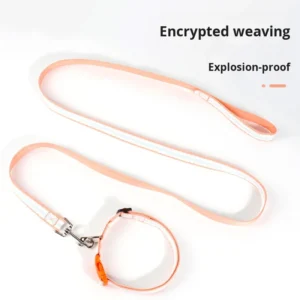 Small Medium Dog Cat Non Choking Eco friendly Ribbon Decorated Soft Leather Lining Polyester Foam Pet Collar