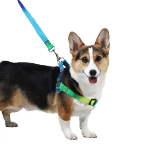 Small Medium Dog Harness with Breathable Leash for Walking Pet Harnesses