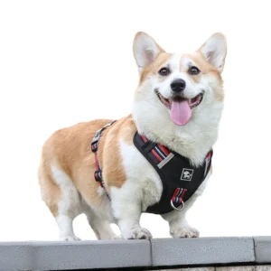 Small Medium Large Sizes Dog Harness Manufacturers Waterproof Dog Walking Running Harness