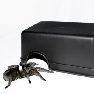 Small Plastic Reptile Hideout Toy for Geckos Snakes Frogs Eye Lizards Caves Spiders Scorpions Centipedes
