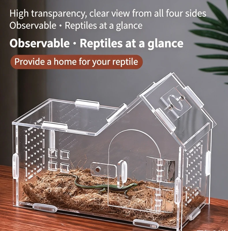 Small Reptile Enclosure Acrylic Terrarium with Sloped Roof Magnetic Front Door Multiple Ventilation Amphibian Spider Habitat