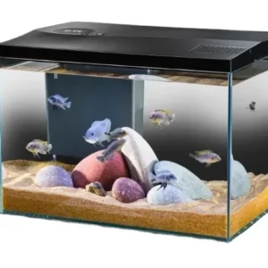 Small Square Glass Water free Landscaping Aquarium for Living Room