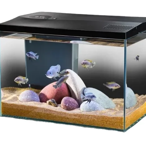 Small Square Glass Water free Landscaping Aquarium for Living Room