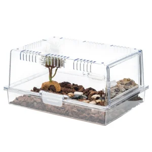 Small Transparent Plastic Terrarium 36*25.5*17cm Solid Pattern Pet Cage for Reptiles Snakes Geckos Snake Gecko Breeding Button