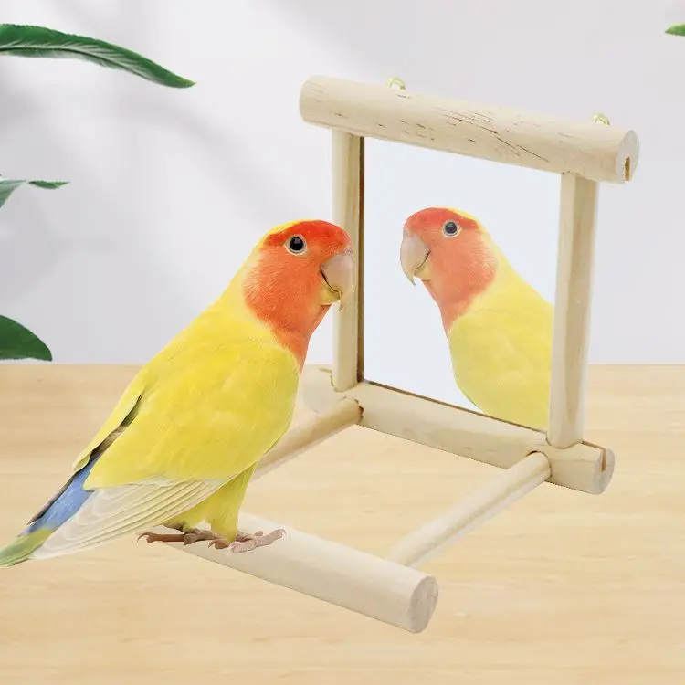 Small and Medium Sized Parrot Supplies Bird Stand with Bell Toy and Bar Accessories for Birdcage