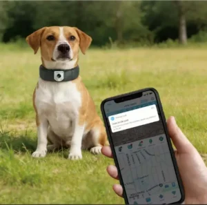 Smart GPS Cellular Pet Tracker Collar 4K Camera Rechargeable Pet Anti Loss Locator Trainer for Dogs