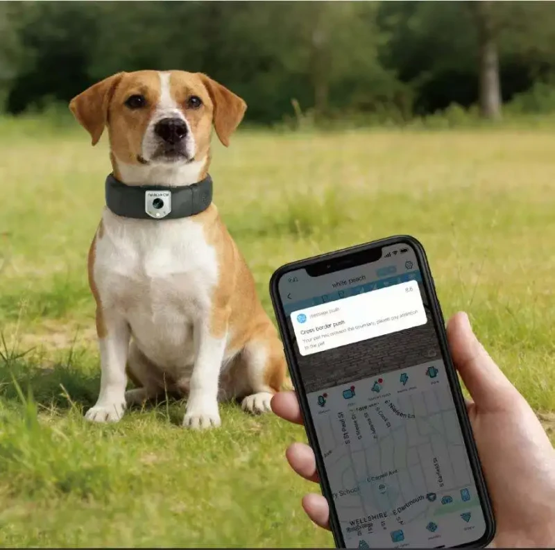 Smart GPS Cellular Pet Tracker Collar 4K Camera Rechargeable Pet Anti Loss Locator Trainer for Dogs