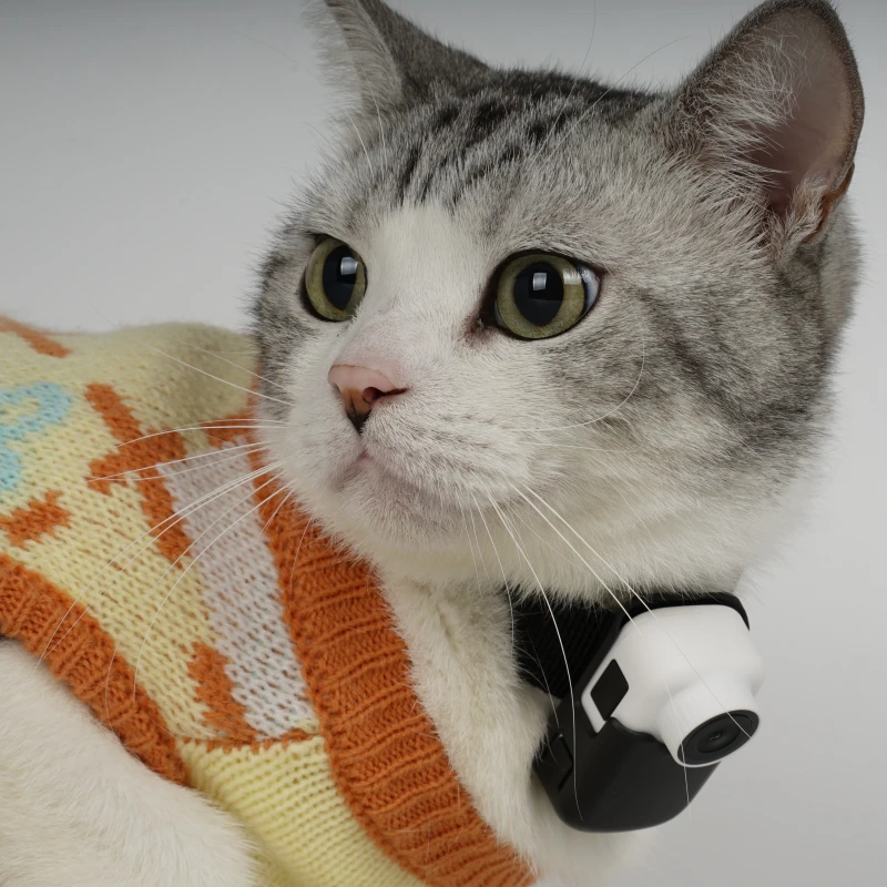 Smart Pet Collar Camera Touch Screen HD Thumb Camera Pet Tracker