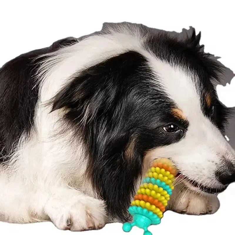 Smart Puzzle Luxury Squeak Other Dog Pet Toys Chew Accessories Indestructible Cat Dog Toy Pet Squeak Toys
