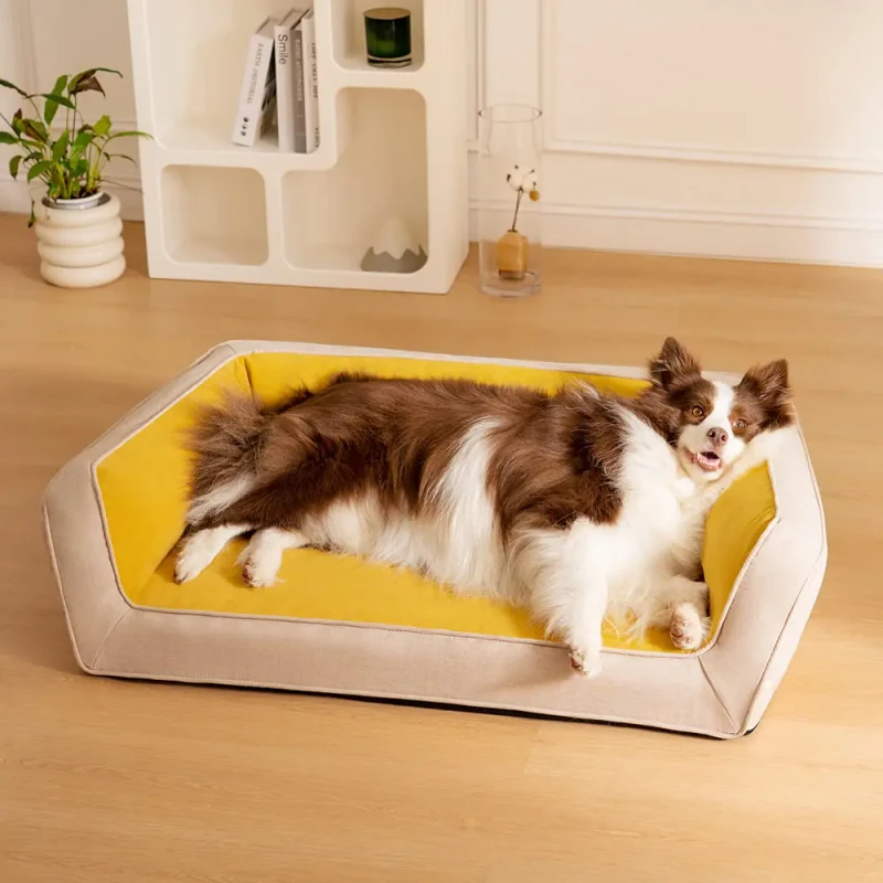 Soft Comfortable Eco friendly Rectangle Dog Beds (M/L/XL) All Seasons Orthopedic Sofa Bed Modern Classic Design Carton Packaging