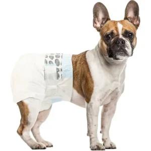 Soft Feeling Breathable Leak Protection Disposable Dog Diaper