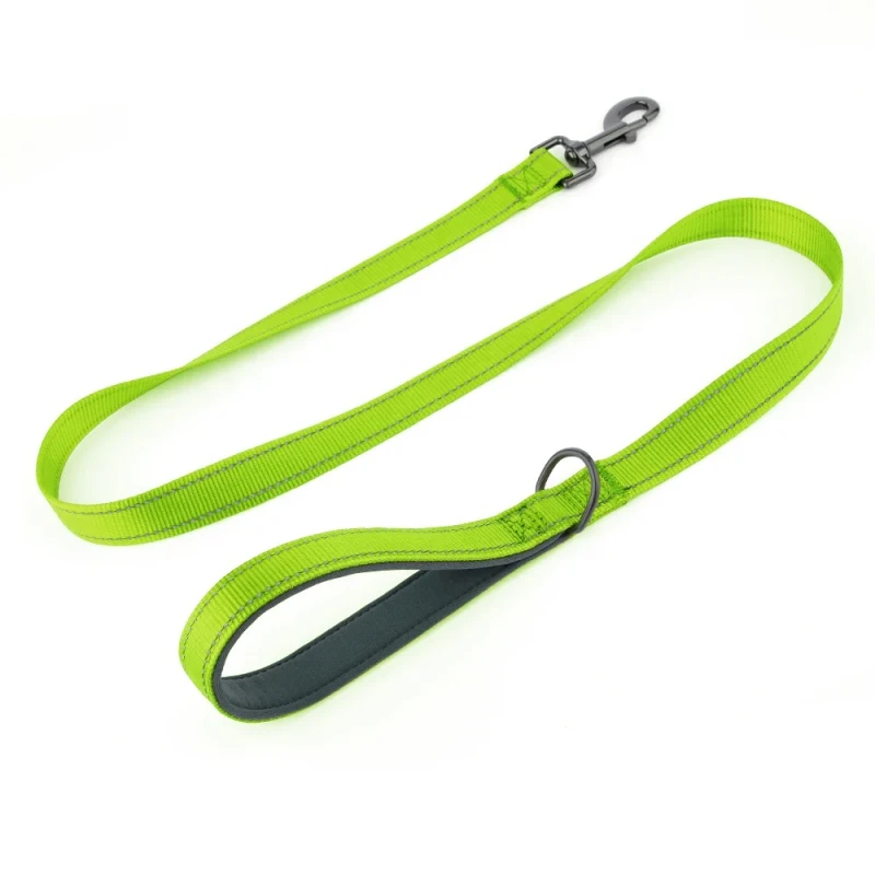 Soft Neoprene Padded Handle Reflective Nylon Dog Leashes for Walking Training