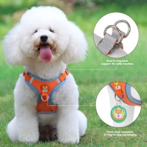 Soft Suede Mesh Dog Harness and Leash Set No Pull Escape Proof Pet Vest for Small Medium Dogs and Cats Walking