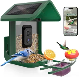 Solar WiFi Remote Monitoring Full Color HD Camera Bird Feeder for Garden Wild Bird