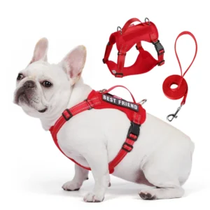 Solid Breathable Mesh Reflective Adjustable Lightweight Nylon No Pull Harness Lead Set for Small Dogs