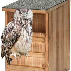 Solid Outdoor Garden Owl Bird Repeller Animal Pest Control Traps Inspired by US Sheet Size Product Category Garden Supplies