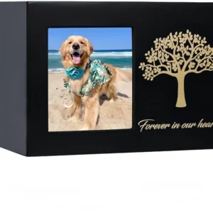 Solid Wood Pet Urn Luxury Handmade Modern Casket Style Custom Brass Ash Memorial Keepsake for Dogs and Cats