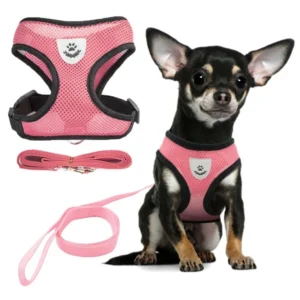 Source Factory Direct Sale Pet Accessories Pet Lead Outdoor Leashes Collars Harnesses Set for Small Cat and Dog