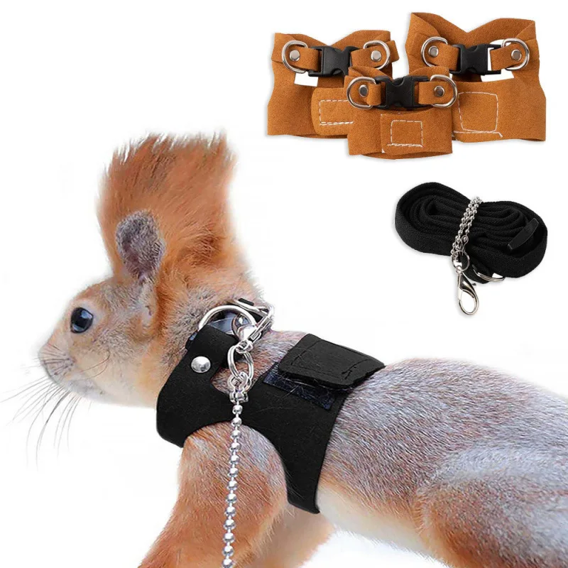 Sport Small Pet Supplies Demon King Squirrel Harness Leash Training Set L shaped Super Migration Leather