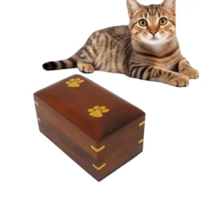 Square Pet Moisture Proof Urn Compartments Paw Print Engraving for Cats Dogs Funeral Supplies Memorial Small Animal Coffin