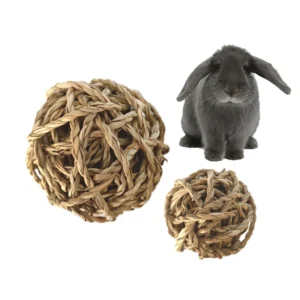 Squeaky Round Rope and Wood Grinding Toy for Small Animals