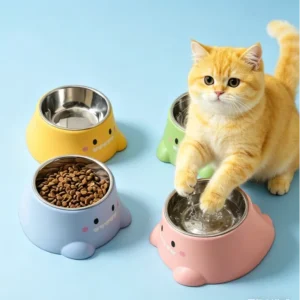 Stainless Steel Cute Smooth Cat and Dog Bowl with Dinosaur Pattern Suitable for Small Pet Supplies