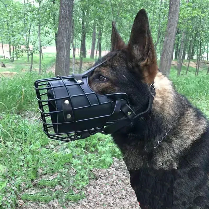 Stainless Steel Dog Anti Barking Device to Prevent Dogs From Making Sound Safe Dog Training Supplies Barking Controllers