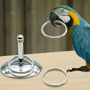 Stainless Steel Interactive Parrot Training Toys Stacking Metal Ring for Intelligence Development Bird Supplies