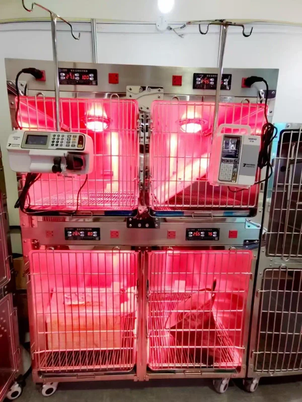 Stainless Steel Veterinary Pet Cage for Animal Hospital