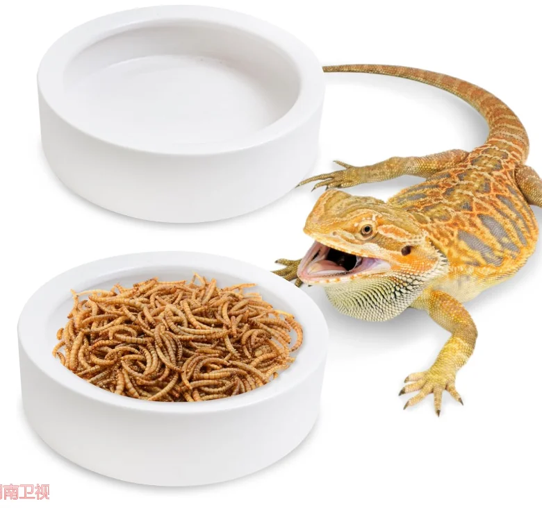 Sterile Ceramic Hideout Cave for Lizards Prevents Live Food Mealworms Escaping Guarding Eco-Friendly Reptile Amphibian Supplies