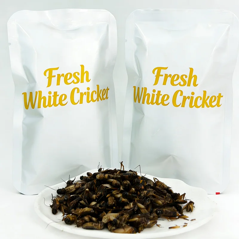 Sterile Preserved White Crickets Universal Health Feed for Pets Birds Fish and More