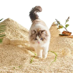 Strong Clumping Cat Litter Best Clean Bentonite Tofu Cat Litter Dust Free No Carry Out Cat Litter