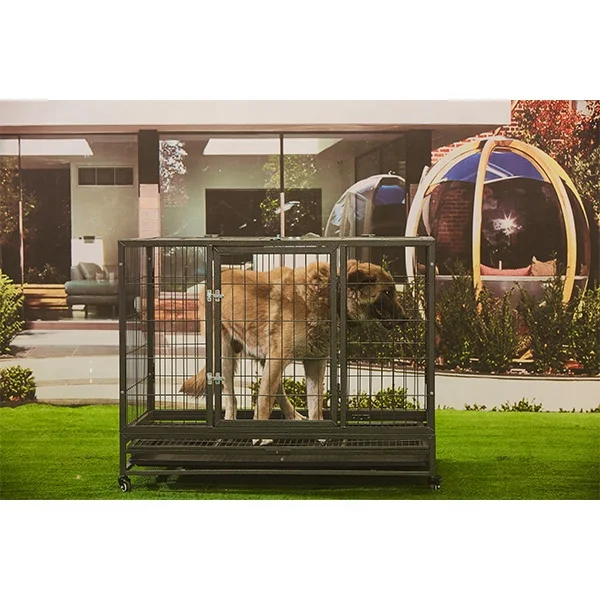 Sturdy Pet Cages That Are Easy to Move