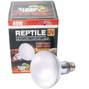 Sun Light Reptile UVB UVA Heating Bulb Glass 120V/220-240V 80W-160W for Reptile Amphibian Supplies